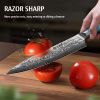 Hecef 8 inch Chef Knife, with 67-Layers Japanese Damascus Steel and Resin Handle